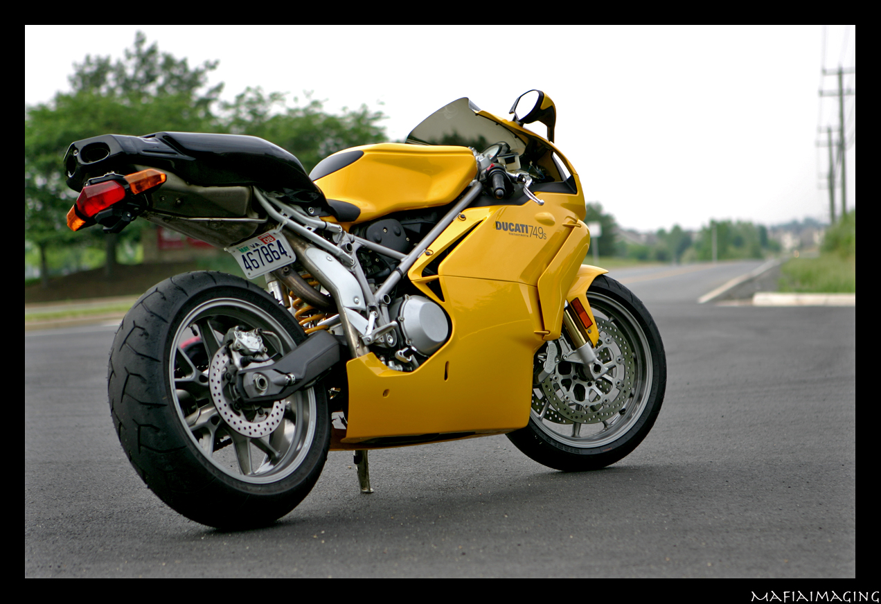 Duc1.jpg