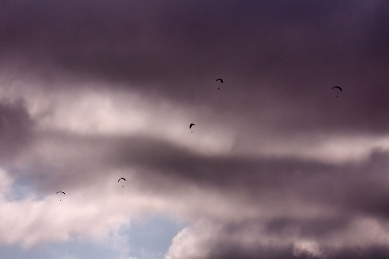 Sails Over Branscombe