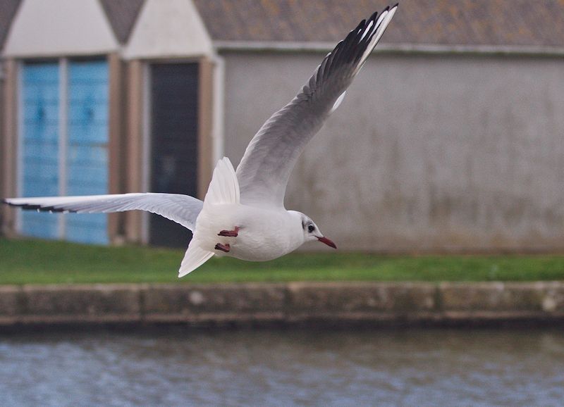 Bude Canal 2