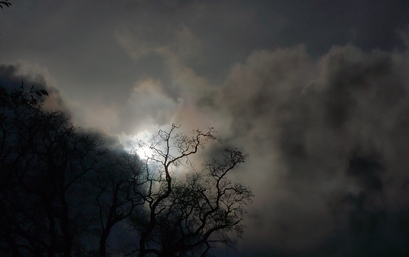 Afternoon sun2.jpg