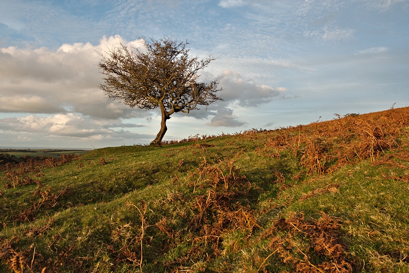 20thOctober Meldon 9.jpg