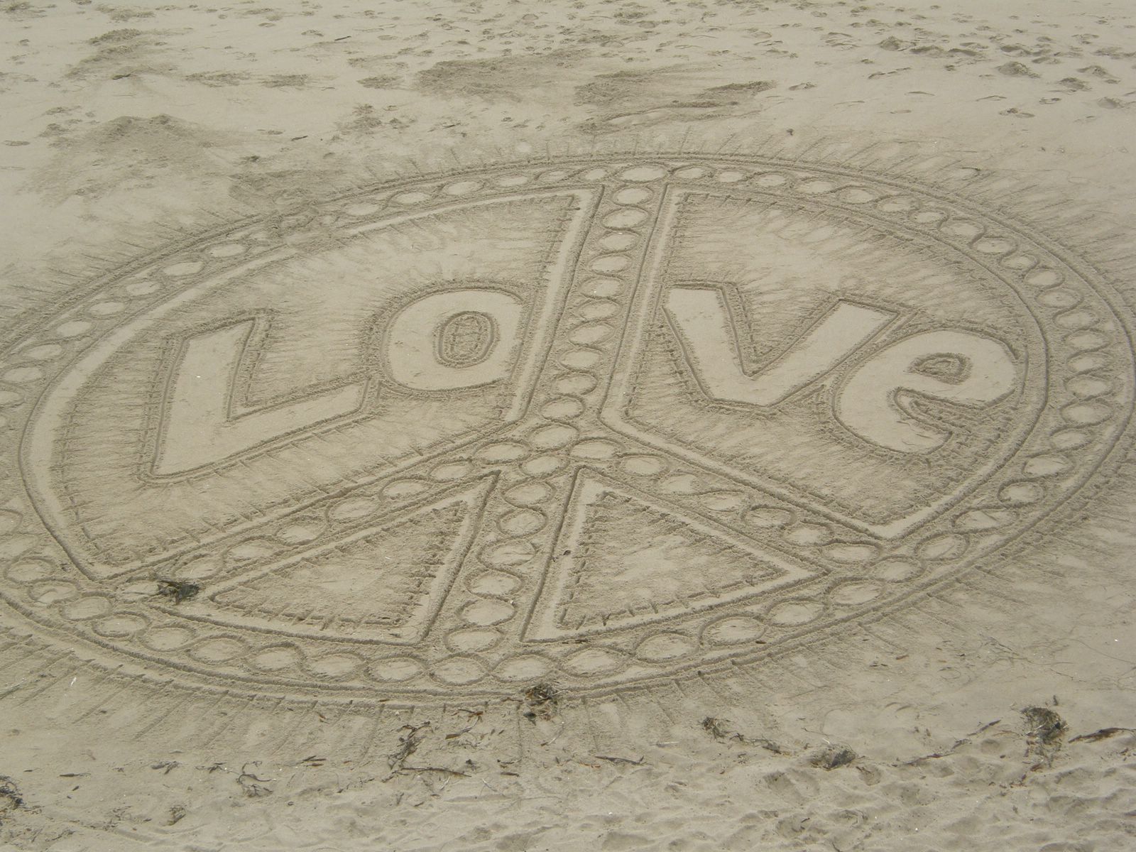 Artistic Love on the Beach