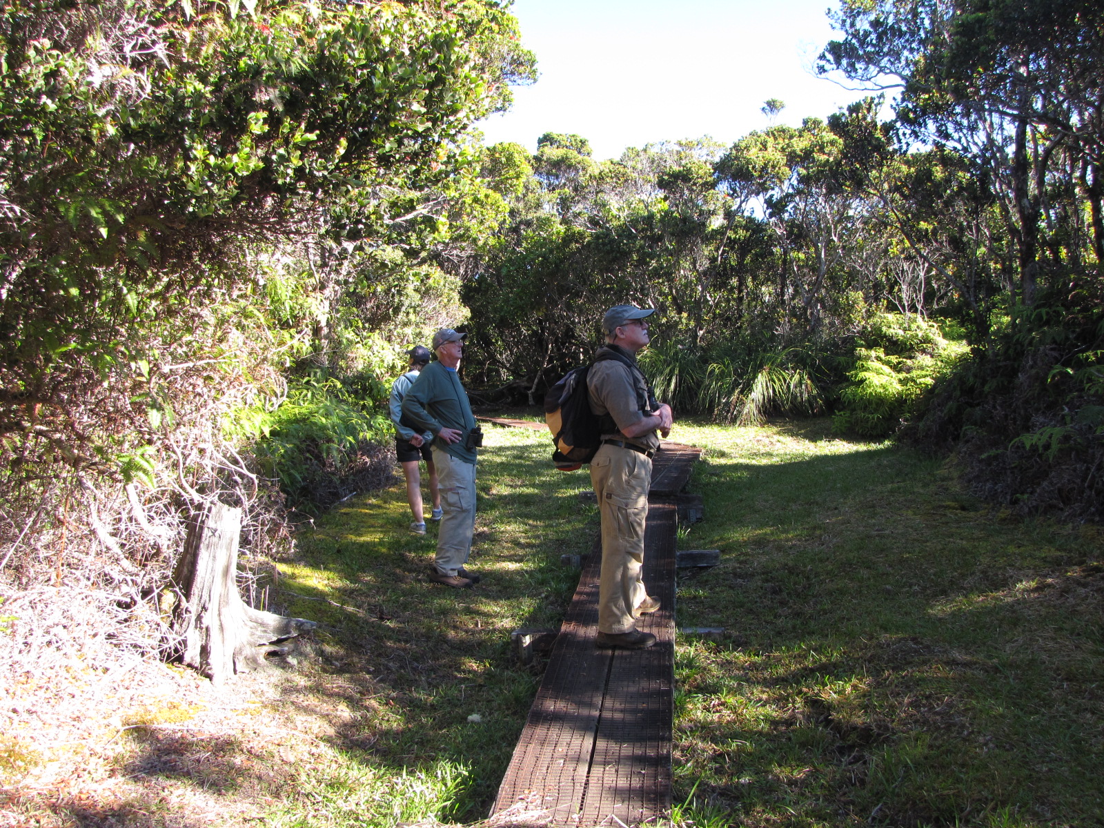 Jim on the trail