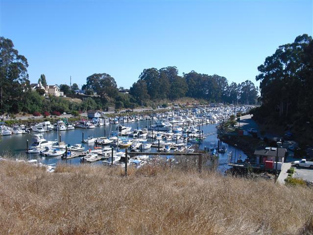 The Harbor