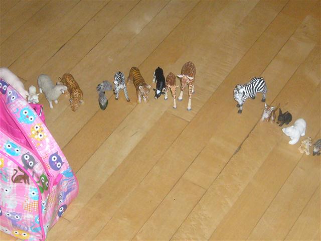 Zoes Menagerie