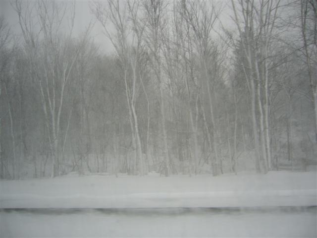 Whiteout.