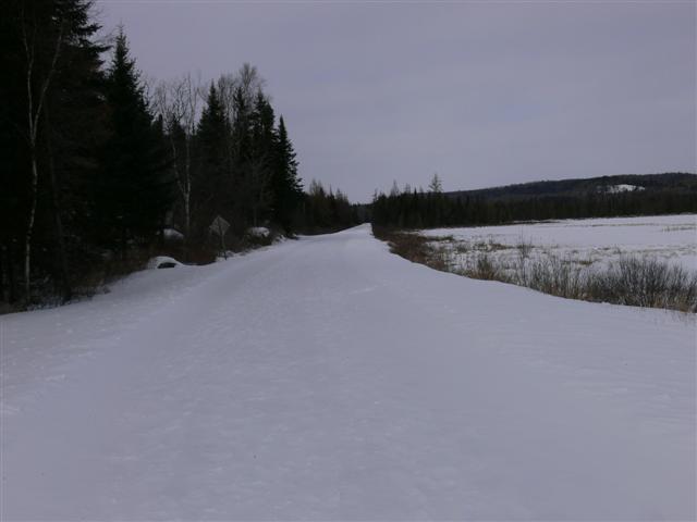 Deserted Road