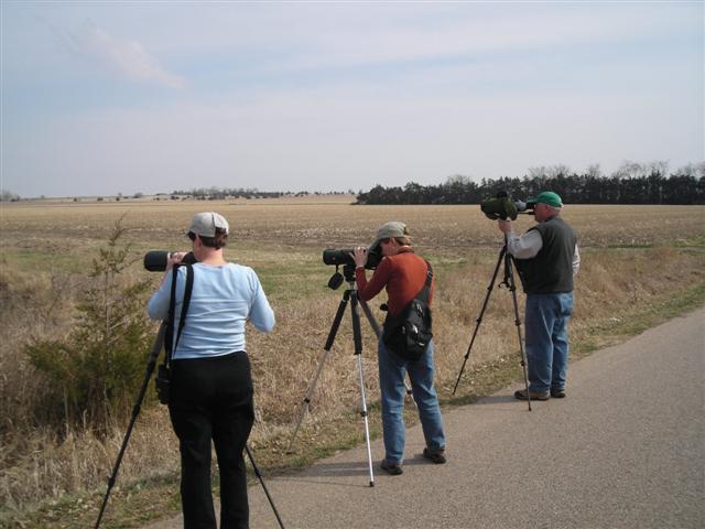 Scanning for Cranes