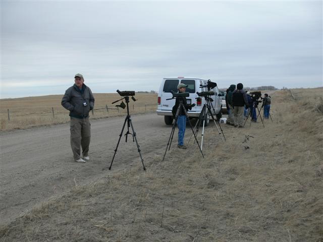 Looking for Prairie Chickens