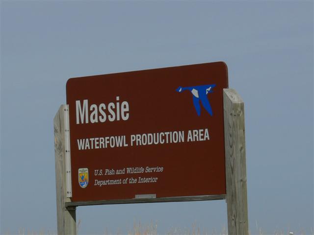 Massie