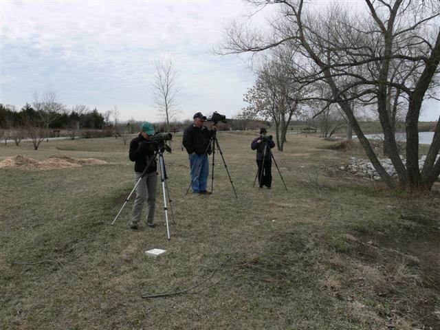 Looking for Birds