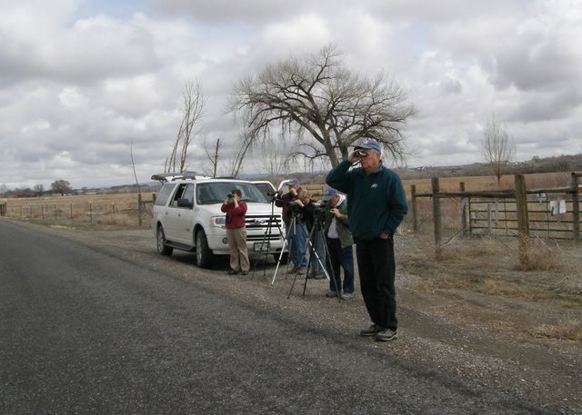 Group looking