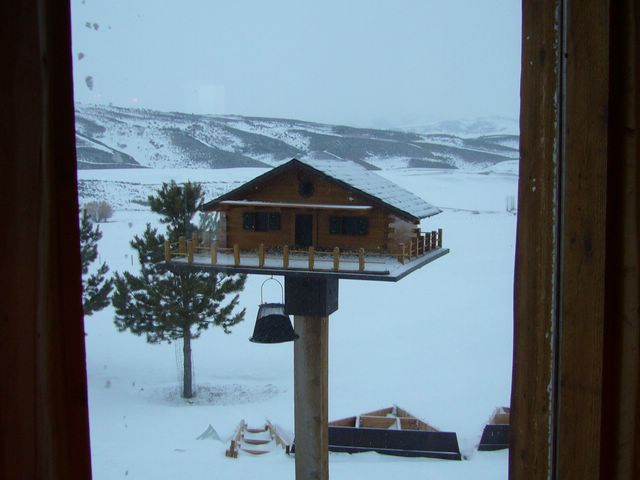 Bird feeder
