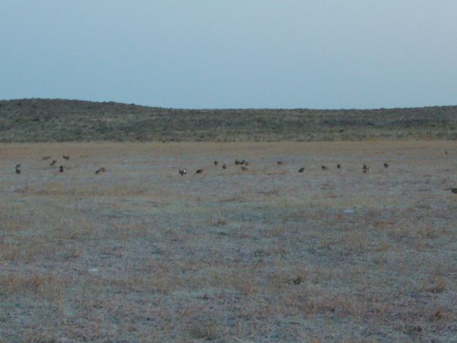 At sunrise