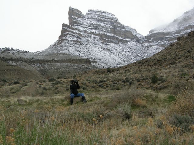 Ann looking for chukar