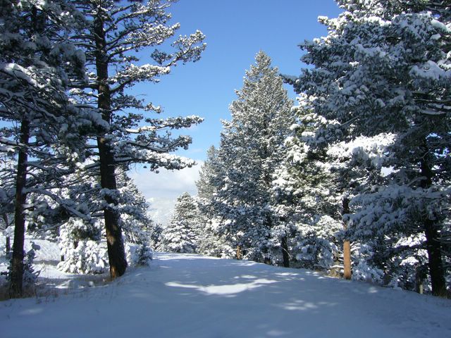 Genesee