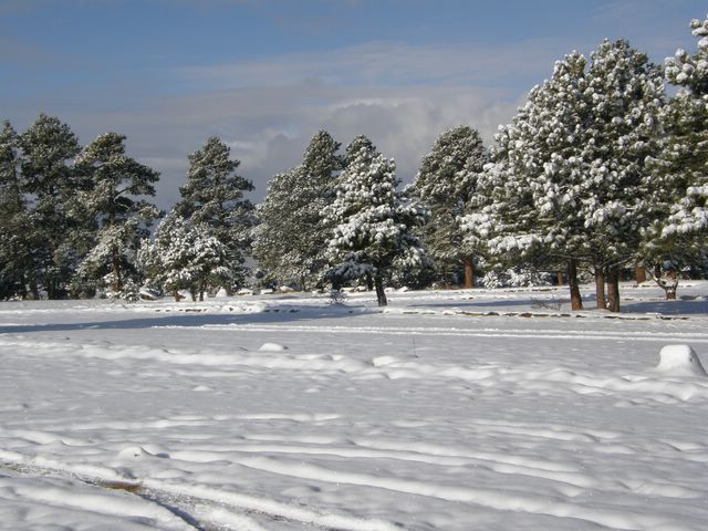 Snow at Genesee