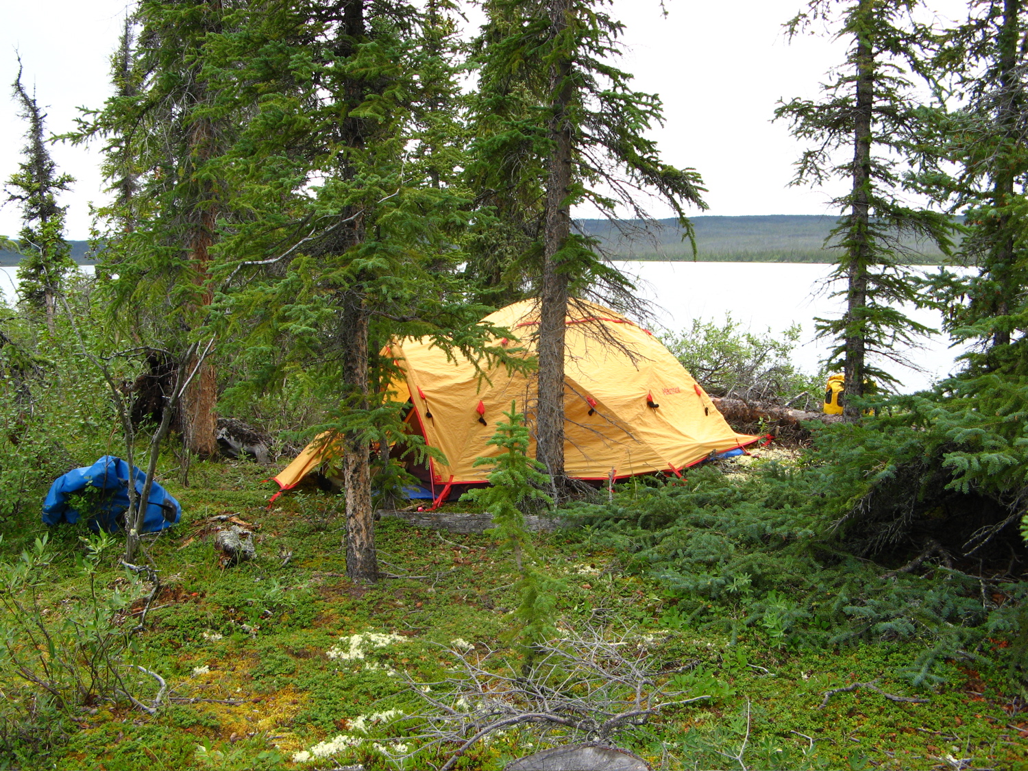 Back in the boreal forest, last camp