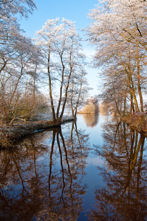 20101128_Haren-2.jpg