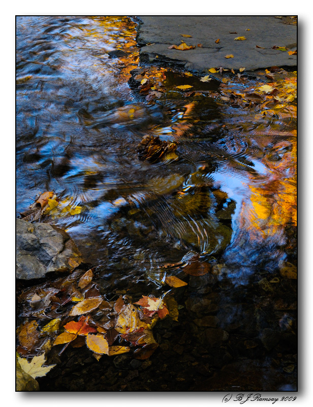 Rickets Glen