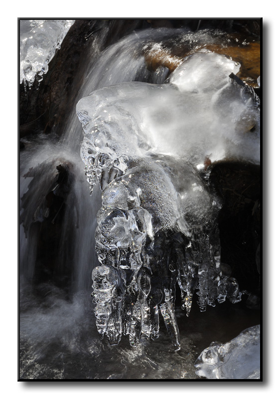 Ice @ Calvert Cliffs