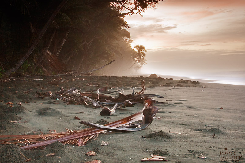 beach debris