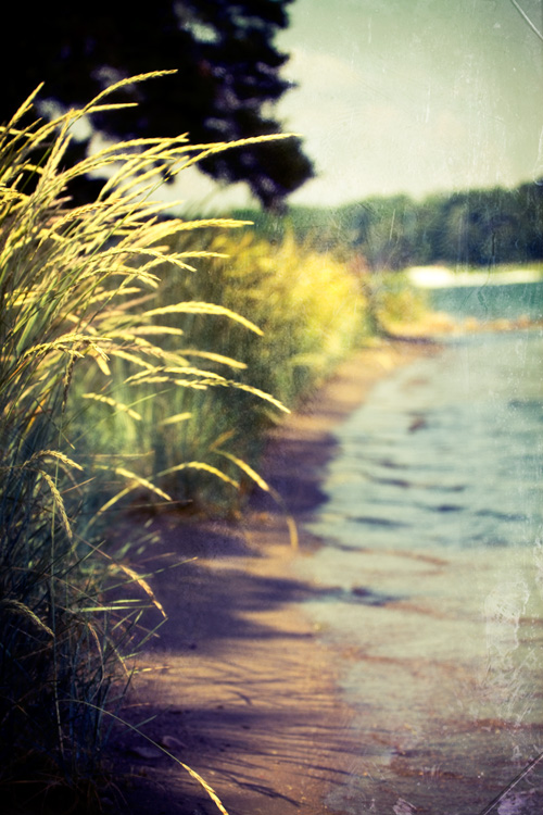 beach