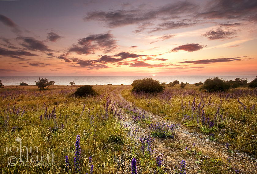 very south of Gotland