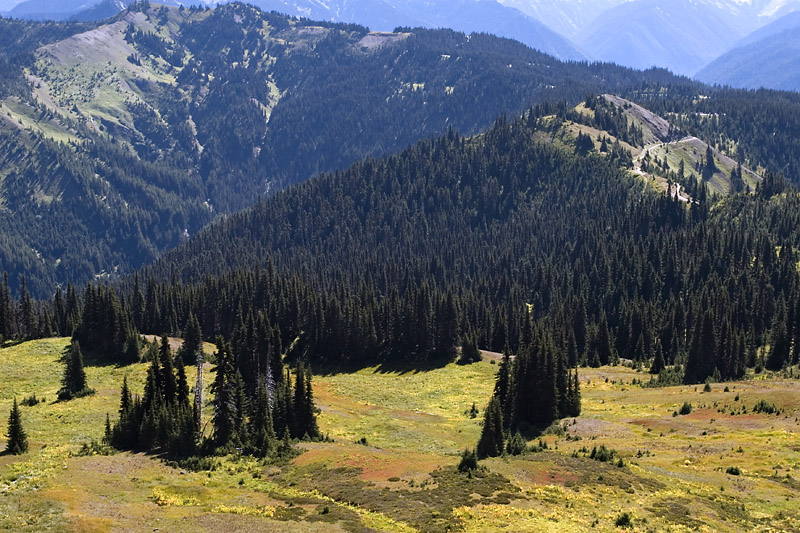 mountain view