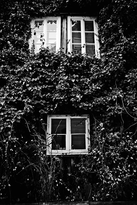windows