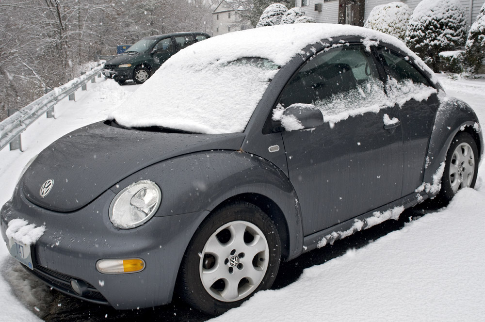 Snow Bug rides again