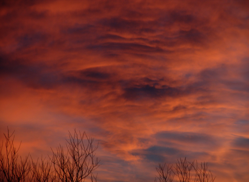 Burnt umber