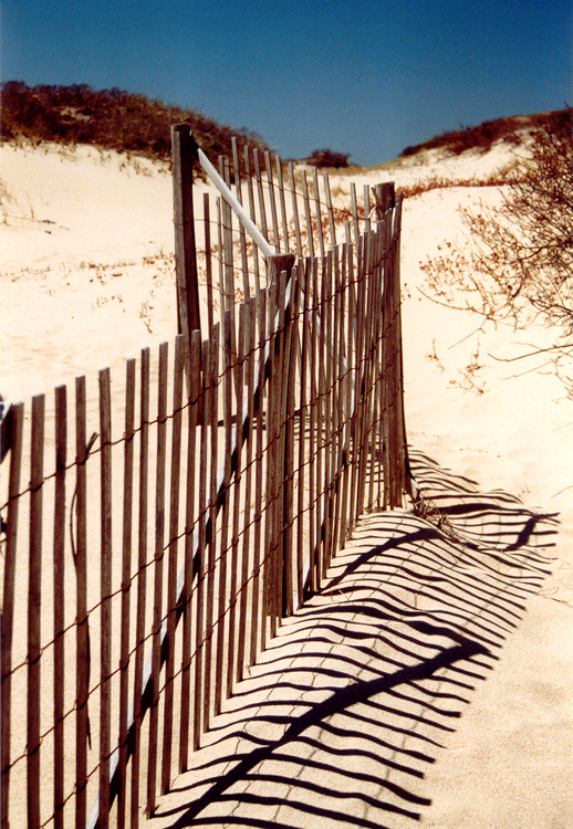 Fence