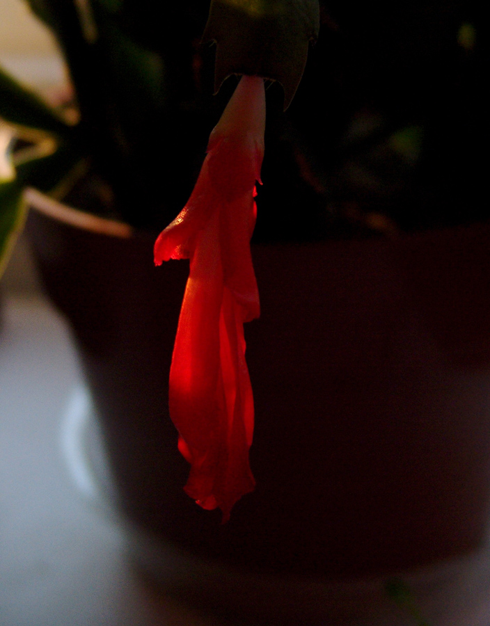 theres even beauty in...