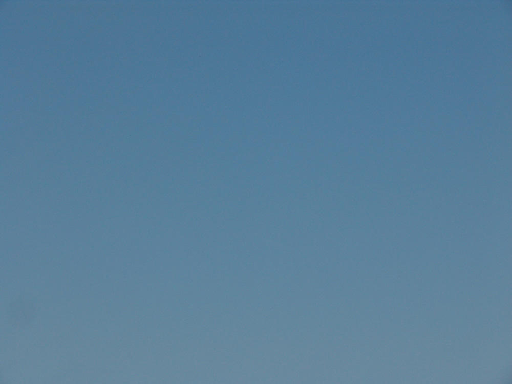 Morning blue