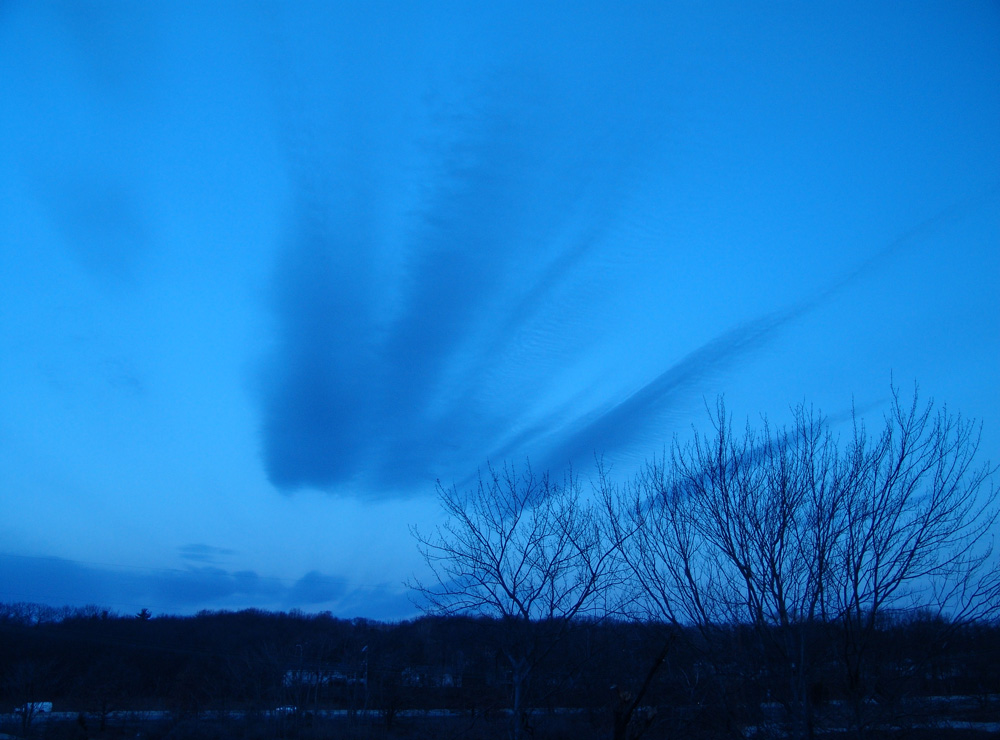blue dawn