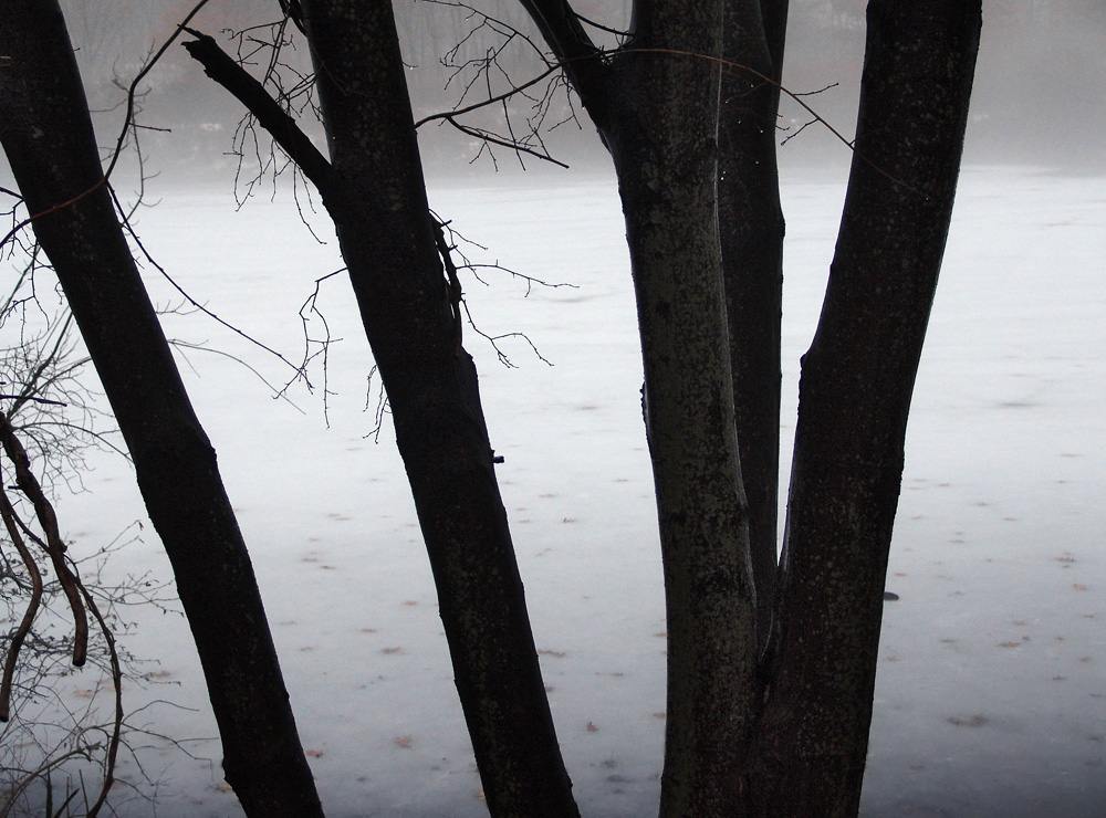 flashback to winter (2)