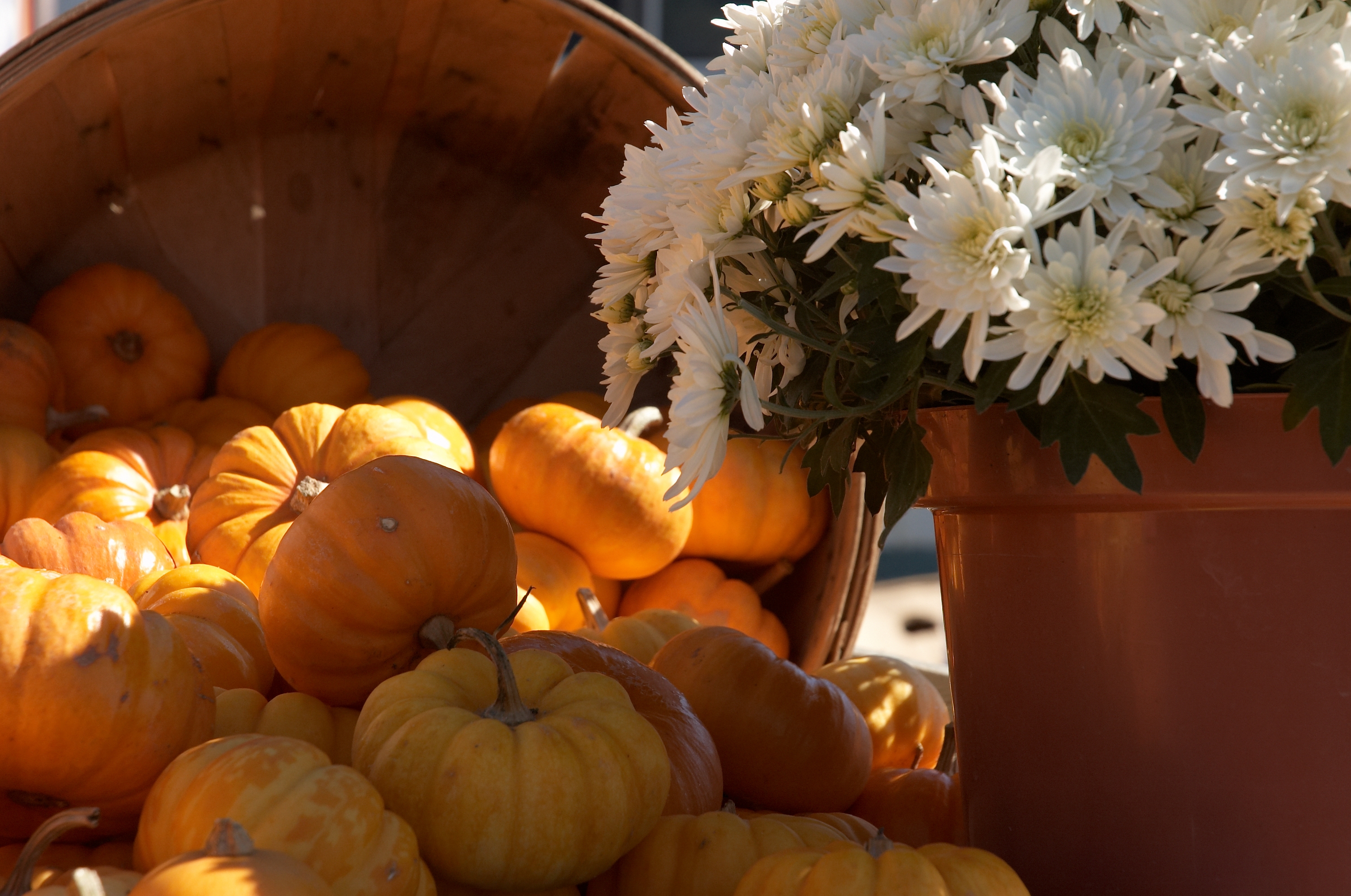 Spilling pumpkins