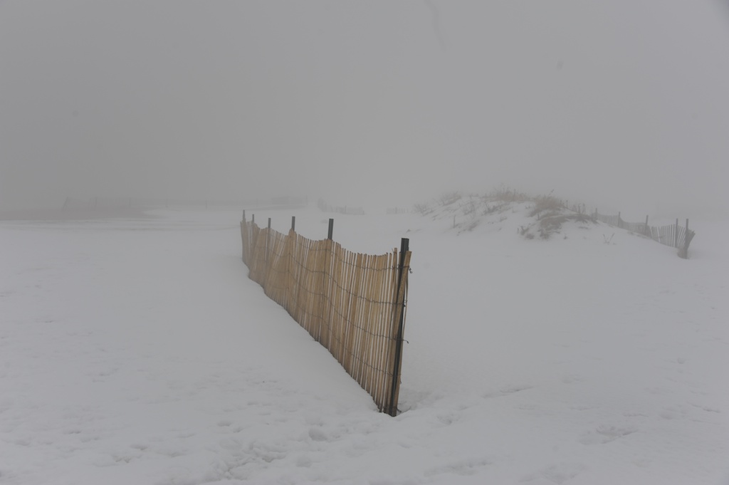 beach in fog 114.jpg