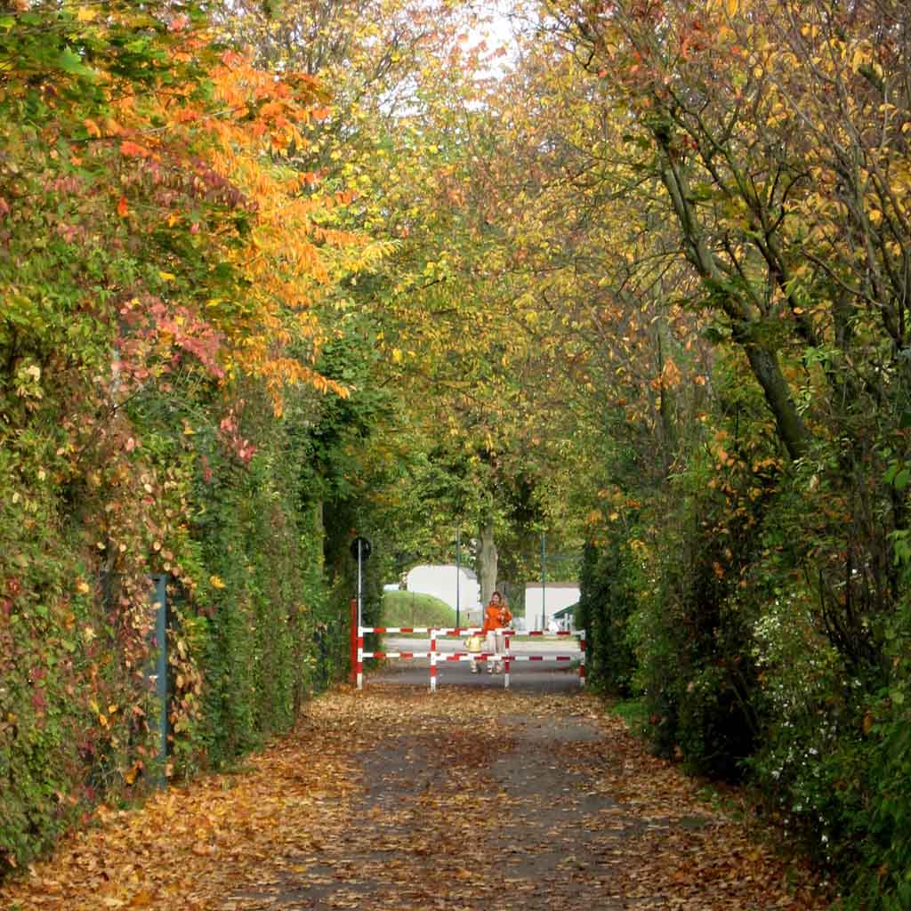 Bretzenheim, autumn