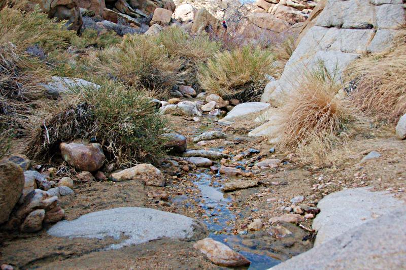 Water In Rock Art Canyon