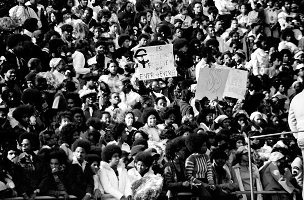 The-Crowd.jpg