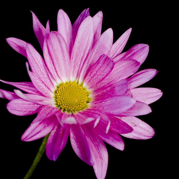 TC2_6451.jpg