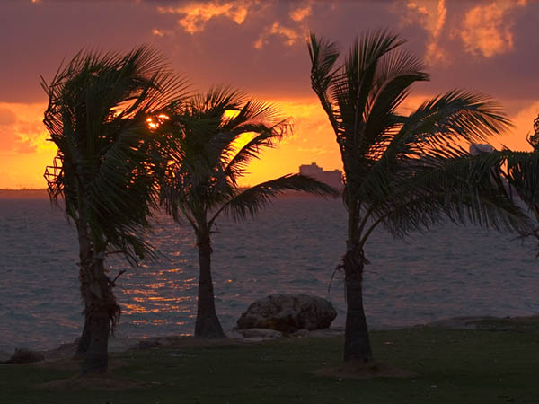 Biscayne Bay sunset