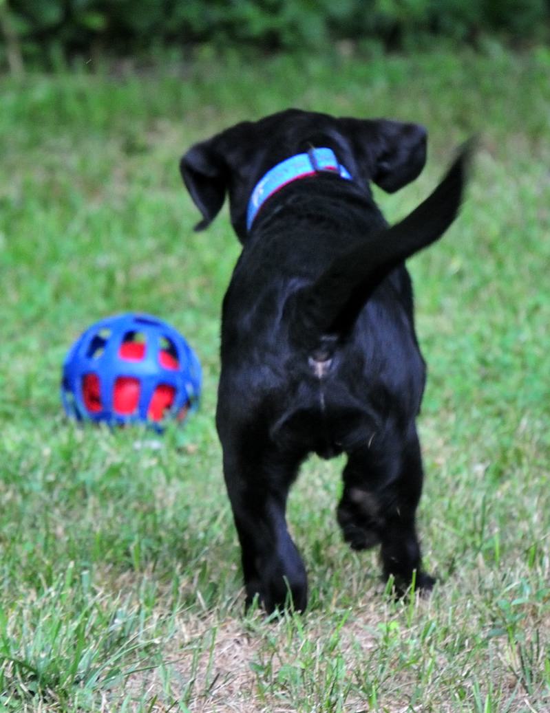 pbase that blue ball DSC_8184.jpg