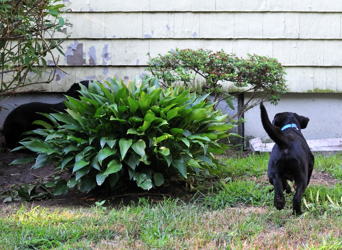 pbase found that hiding place DSC_8148.jpg