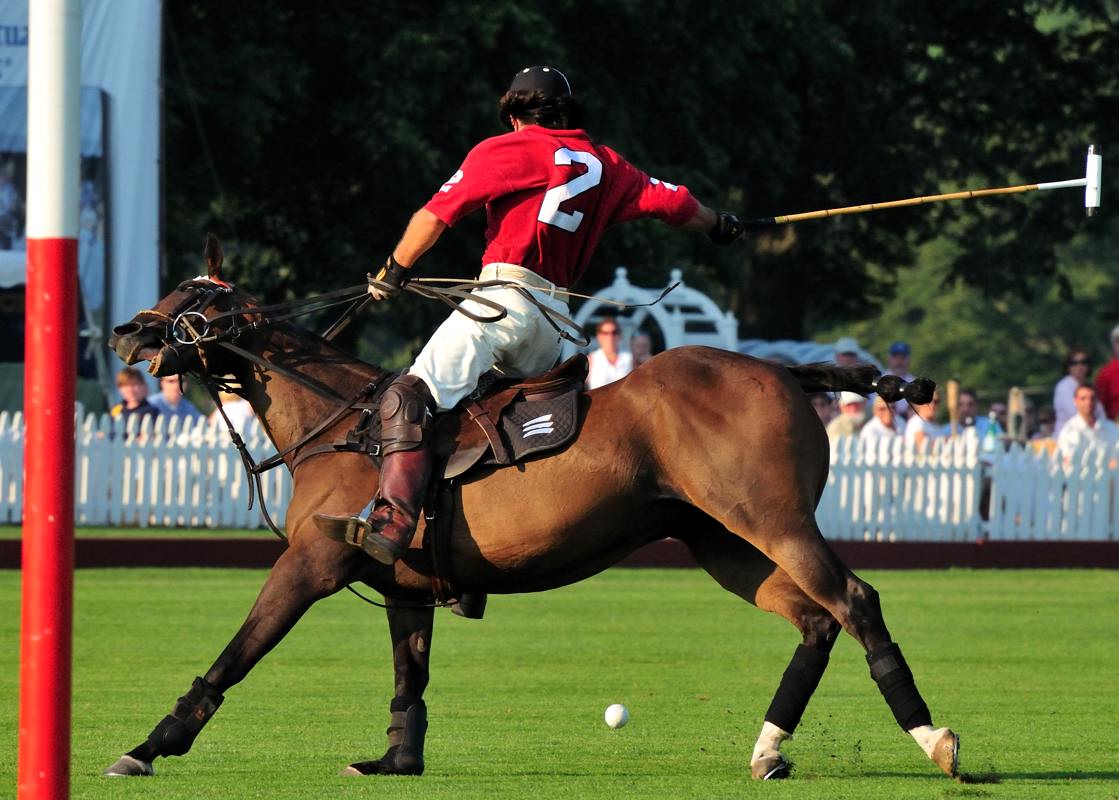 pbase Polo vs 4 July 26 DSC_9284.jpg