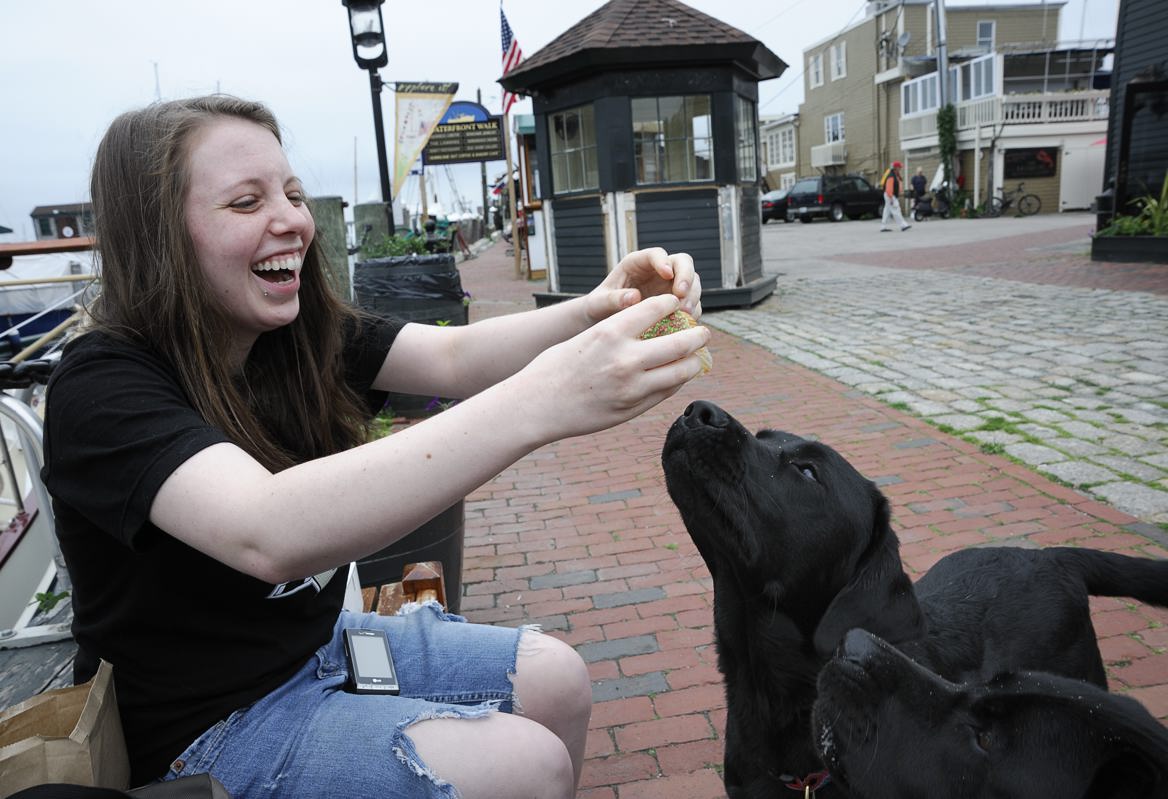 pbase Moki and Java enjoying doggie cupcakes from Woof_DSC5331.jpg