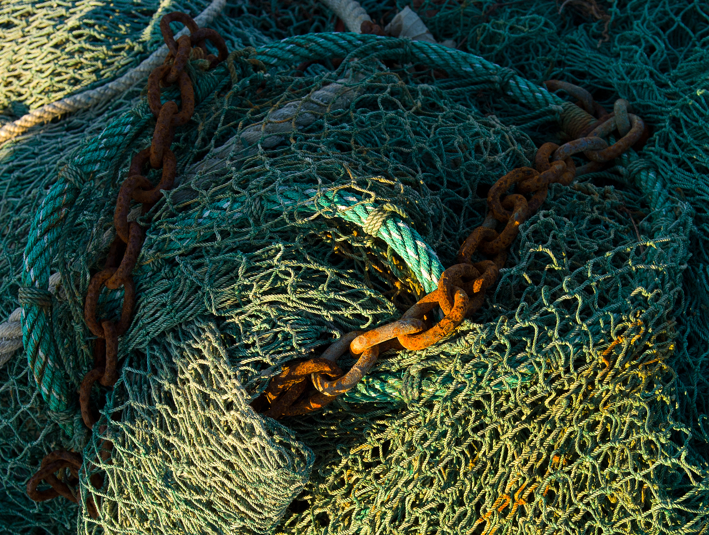  Warren dock ropes 1611 1 of 1.jpg
