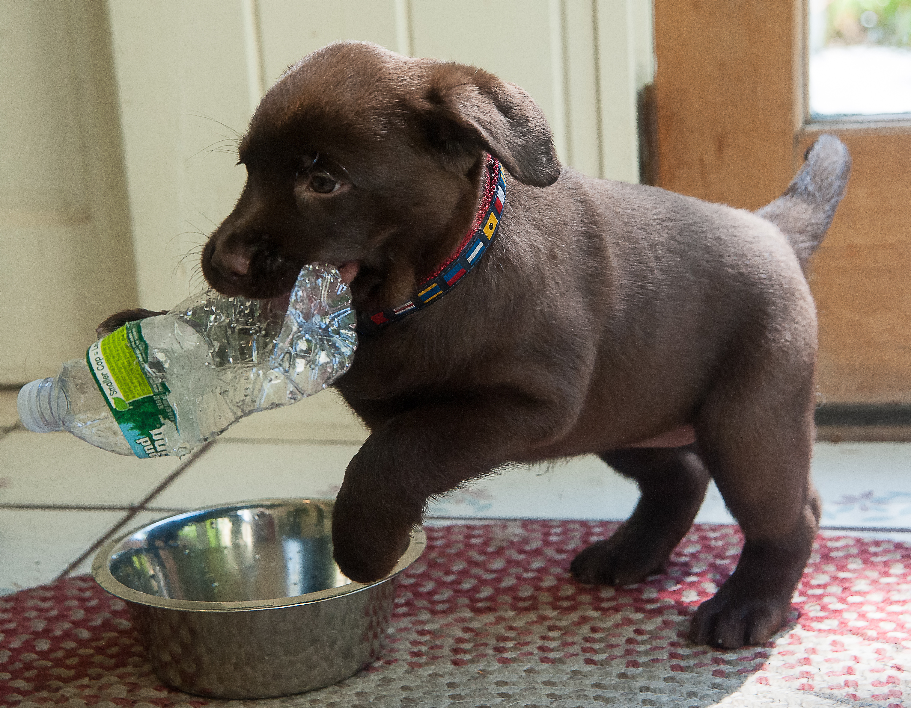 bottle on the run   July 8 2012 day 2.jpg